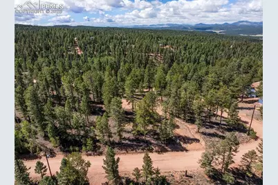 210 Donzi Trail, Florissant, CO 80816 - Photo 11