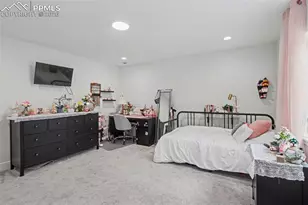 9234 Gallery Pl, Colorado Springs, CO 80924 - Photo 29