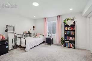 9234 Gallery Pl, Colorado Springs, CO 80924 - Photo 29