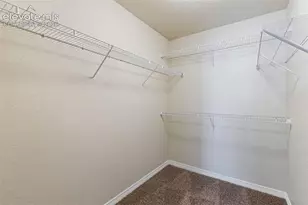 7916 Lightwood Way, Colorado Springs, CO 80908 - Photo 27