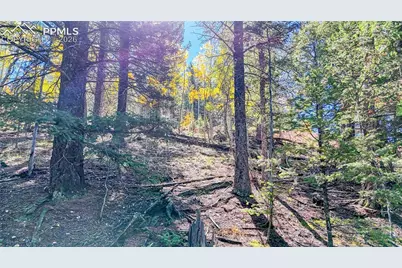 959 Calcite Drive, Divide, CO 80814 - Photo 49