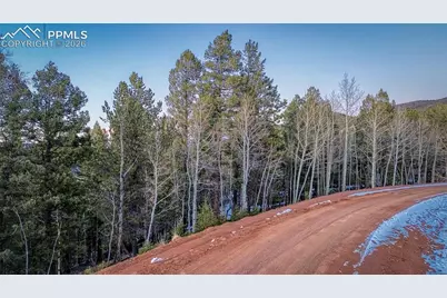 959 Calcite Drive, Divide, CO 80814 - Photo 15