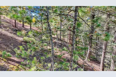 959 Calcite Drive, Divide, CO 80814 - Photo 9