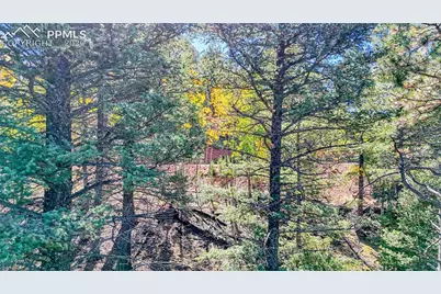 959 Calcite Drive, Divide, CO 80814 - Photo 5