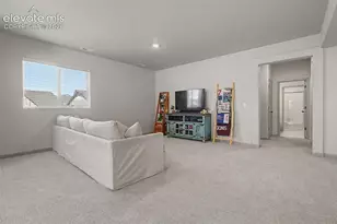 11634 Justify Dr, Colorado Springs, CO 80921 - Photo 31