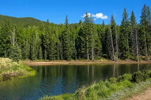 81 Pamona Lake Dr, Divide, CO 80814 - Photo 25