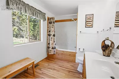 81 Pamona Lake Drive, Divide, CO 80814 - Photo 15