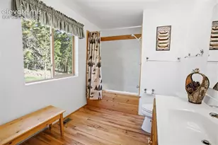 81 Pamona Lake Dr, Divide, CO 80814 - Photo 15