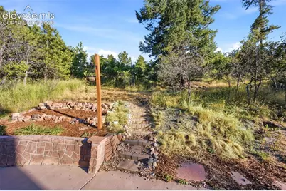 1005 Woodmoor Drive, Monument, CO 80132 - Photo 41