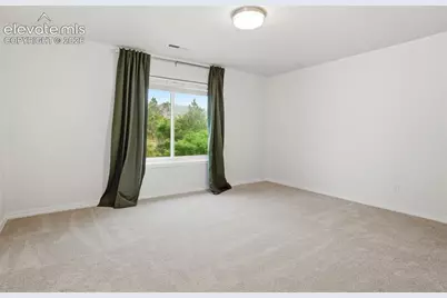 1005 Woodmoor Drive, Monument, CO 80132 - Photo 21