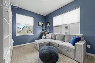 6366 Knapp Dr, Colorado Springs, CO 80924 - Photo 21