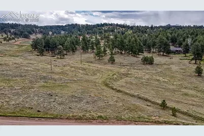 188 High Pasture Road, Florissant, CO 80816 - Photo 13