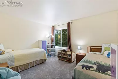 2020 Valley View Drive, Woodland Park, CO 80863 - Photo 19