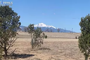 20152 Silverado Hill View, Colorado Springs, CO 80928 - Photo 35