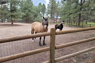 4673 Pinon Dr, Elizabeth, CO 80107 - Photo 9