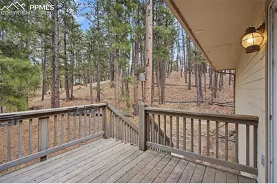 4944 Antelope Trail, Elbert, CO 80106 - Photo 35