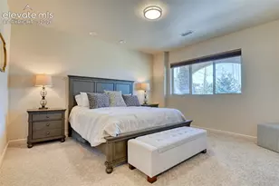 2313 Rainbows End Point, Colorado Springs, CO 80921 - Photo 15