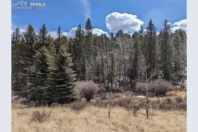 1620 Park Ridge Drive, Guffey, CO 80820 - Photo 11