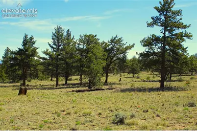31572 Highway 9, Fairplay, CO 80449 - Photo 21
