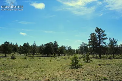 31572 Highway 9, Fairplay, CO 80449 - Photo 3