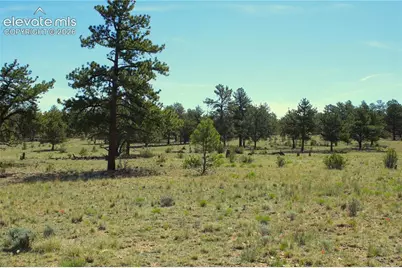 31572 Highway 9, Fairplay, CO 80449 - Photo 1