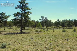 31572 Highway 9, Fairplay, CO 80449 - Photo 1