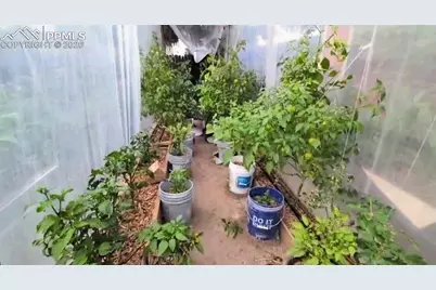 6417 Dewsbury Drive, Colorado Springs, CO 80918 - Photo 39