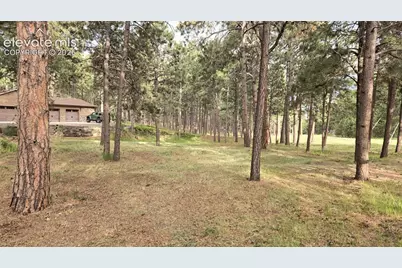7220 McShane Road, Colorado Springs, CO 80908 - Photo 35
