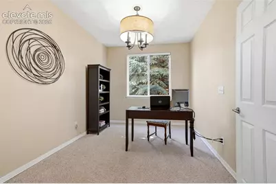 901 Prickly Pear Place, Colorado Springs, CO 80921 - Photo 27