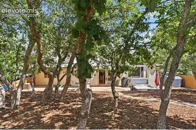 901 Prickly Pear Place, Colorado Springs, CO 80921 - Photo 25
