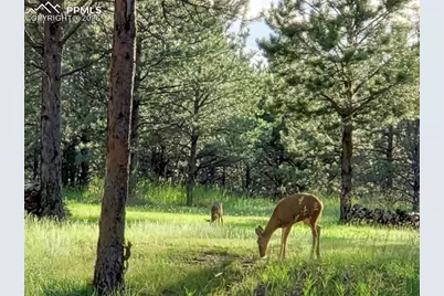 12855 Murphy Road, Elbert, CO 80106 - Photo 49