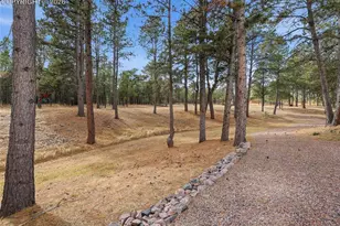 12855 Murphy Rd, Elbert, CO 80106 - Photo 43