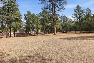 12855 Murphy Rd, Elbert, CO 80106 - Photo 43