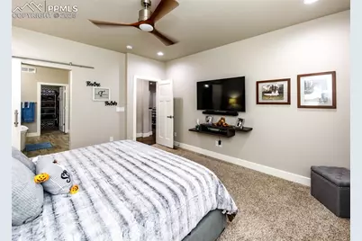 7764 Pinfeather Drive, Fountain, CO 80817 - Photo 29