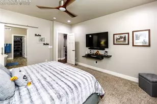 7764 Pinfeather Dr, Fountain, CO 80817 - Photo 29