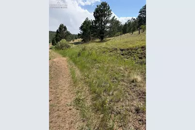 39 Rabbil Creek Trail, Florissant, CO 80816 - Photo 1