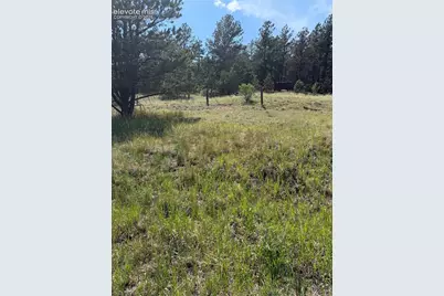 39 Rabbil Creek Trail, Florissant, CO 80816 - Photo 9