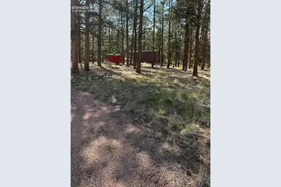 39 Rabbil Creek Trail, Florissant, CO 80816 - Photo 7