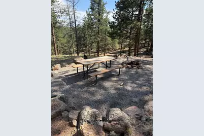 39 Rabbil Creek Trail, Florissant, CO 80816 - Photo 5