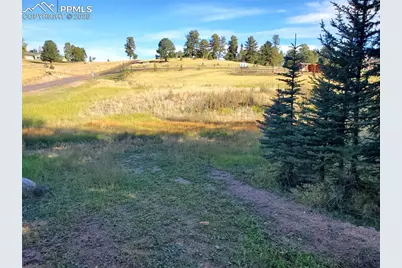 309 Pinaceae Heights, Divide, CO 80814 - Photo 19