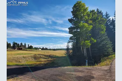 309 Pinaceae Heights, Divide, CO 80814 - Photo 15