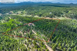 4269 Cedar Mountain Rd, Divide, CO 80814 - Photo 33