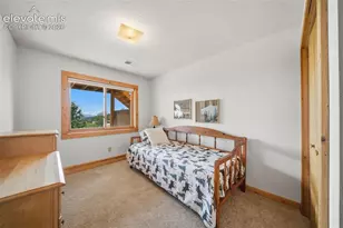 4269 Cedar Mountain Rd, Divide, CO 80814 - Photo 19