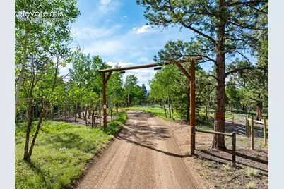 4269 Cedar Mountain Road, Divide, CO 80814 - Photo 23