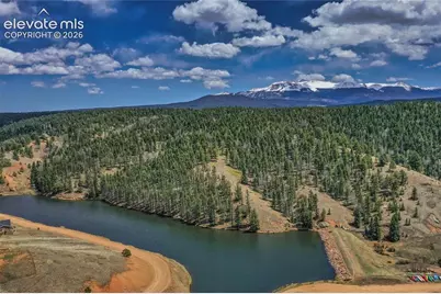 886 Cottonwood Lake Drive, Divide, CO 80814 - Photo 37
