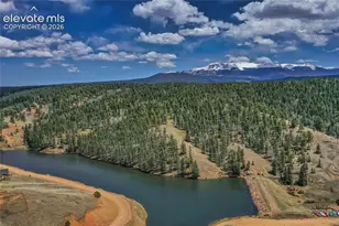 886 Cottonwood Lake Dr, Divide, CO 80814 - Photo 37