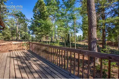 886 Cottonwood Lake Drive, Divide, CO 80814 - Photo 29