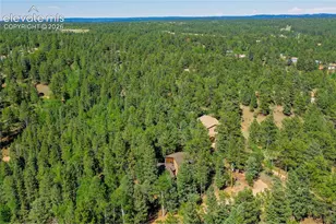 886 Cottonwood Lake Dr, Divide, CO 80814 - Photo 43