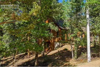 886 Cottonwood Lake Drive, Divide, CO 80814 - Photo 45