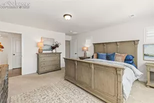 9297 Meccano Pt, Colorado Springs, CO 80924 - Photo 19